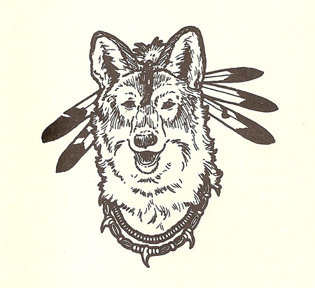 004_FurMagic_Coyote